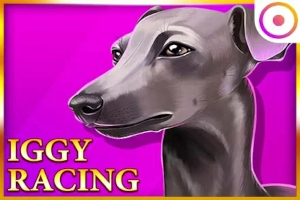 Iggy Racing Slot